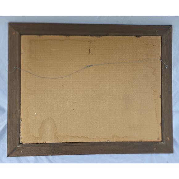 Vintage Frame Mirror Mappe Monde Du Globe World Map by Jan Barend Elwe 23 x 28 - Picture 2 of 16